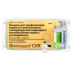 Фелоцел CVR  