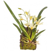 LUCKY REPTILE Декоративное растение "Hanging Orchid", белое
