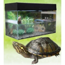 LUCKY REPTILE Террариум "Стартовый комплект для водных черепах", черный, 80x40x52 см