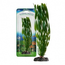 Penn-Plax Vallisneria Corkscrew Растение Валлиснерия зеленое