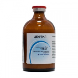 Цефтил (Ceftilum) (100мл)