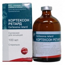 Кортексон ретард (SYVA Laboratorios S.A), флак. 100 мл