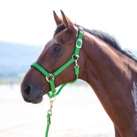 SHIRES Недоуздок "Topaz", зеленый
