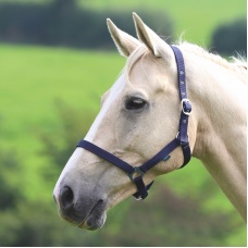 SHIRES Недоуздок "Wessex", COB, синий