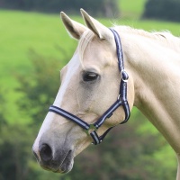 SHIRES Недоуздок "Wessex", синий-серый