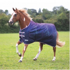 SHIRES TEMPEST Попона прогулочная "Originalite", 600D, 0g, синяя